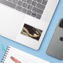 Zoek naar omringen stickers Sterren