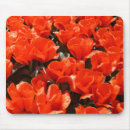 Recherche de tulipe orange tapis souris Floral