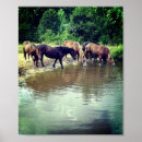 Recherche de potables posters Nature