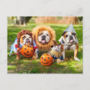 Zoek naar bulldog briefkaarten Grappig