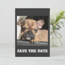 Recherche de bouledogue francais invitations Chiot