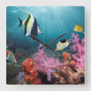 Zoek naar idool posters Koraalrif