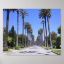Zoek naar palm trees kunst Bomen