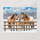 Recherche de chevaux neige cartes postales Mare