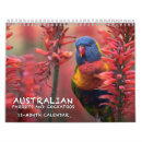 Recherche de perroquets calendriers Coloré