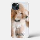 Zoek naar foto sjabloon iphone hoesjes Kat