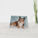 Zoek naar vis kaarten Kat