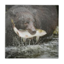 Recherche de comportement maison deco Poisson