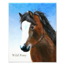 Recherche de poney posters Dressage