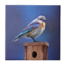 Recherche de portraits femelles carreaux Peinture