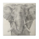 Zoek naar sketch tegels Dieren