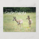 Recherche de wild cartes postales Voyage