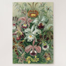Recherche de orchid puzzles Pour tous
