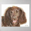 Zoek naar cocker spaniel kunst Hond