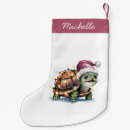 Recherche de tortues chaussette de noël Stockage