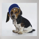 Recherche de chien basset posters Chiot
