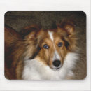 Recherche de chien berger tapis souris Animal familier