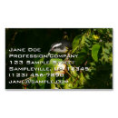 Recherche de birds visitenkarten Photographie