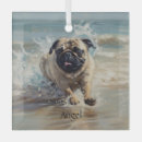 Zoek naar pugs ornamenten For pets