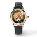Recherche de panda roux Chine