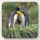 Recherche de nez dessous de verres Animal