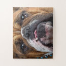 Recherche de bouledogue français puzzles Amoureux des chiens