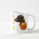 Recherche de ridgeback rhodesian tasses Amoureux des chiens