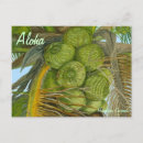 Recherche de noix de coco cartes postales Fruit tropical