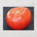 Recherche de tomate cartes postales Légume