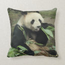 Zoek naar panda kinder kussens Beren