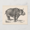 Recherche de rhinoceros cartes postales Animaux