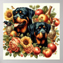 Zoek naar rottweilers posters Honden