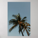 Recherche de cocotier posters Été