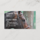 Recherche de cheval de baie Équestre