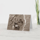 Recherche de canards toutes vœux cartes Photographie