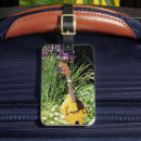 Recherche de mandoline Musical