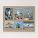 Recherche de cigognes puzzles Oiseaux