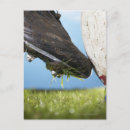 Recherche de joueur de rugby cartes postales Extérieur