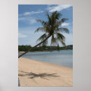 Recherche de carte de vacances posters Palmier