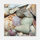 Recherche de collectionneuse magnets Passe temps