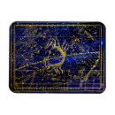 Recherche de cancers magnets Constellation