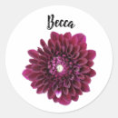 Recherche de fleurs de dahlia autocollants Floral