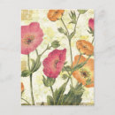 Recherche de faisceaux cartes postales Marguerite