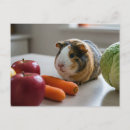 Recherche de porc mignon cartes postales Enfants