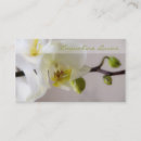 Recherche de orchidées blanches cartes visite Photographie