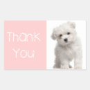Recherche de chien rose autocollants Pour elle