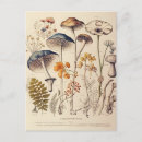 Recherche de naturalist cartes postales Vintage