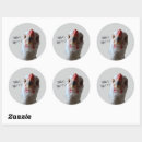 Zoek naar kip en ei stickers Vogel