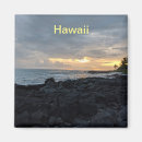 Recherche de hawaïenne magnets Pour eux