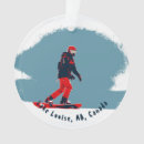 Recherche de extrême ornements Snowboard